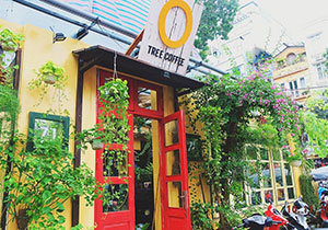 Ý tưởng thiết kế quán cafe Ohi tree and coffee