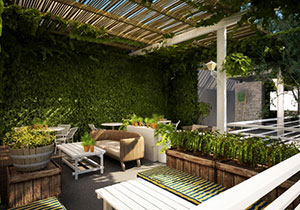 Gợi ý thiết kế cà phê vườn đứng