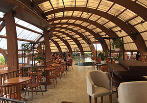 Những quán cafe đẹp tại Hà Nội phần 7, trang trí quán bằng hoa