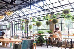 Dự án kinh doanh quán cafe cho người mới bắt đầu