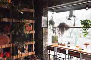 thiết kế quán cafe milano